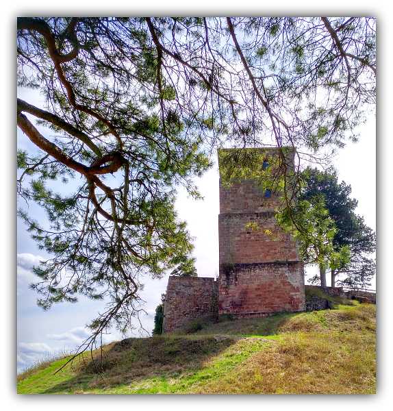 Panoramaweg - Turm der Burgruine auf dem Siersberg