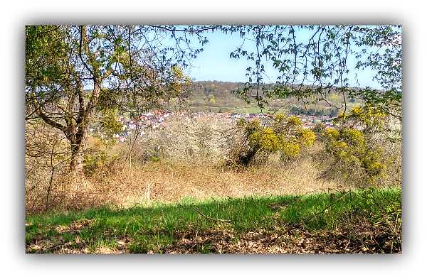 Panoramaweg - Blick auf Saarfels