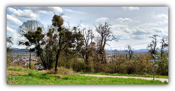 Panoramaweg - Blick ins Saartal